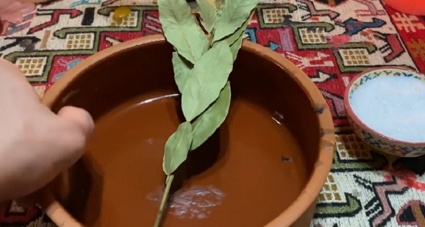 Засыпаю лавровый лист солью и радуюсь результату: невероятно полезный лайфхак против плесени