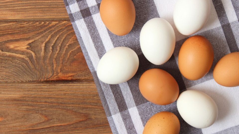 Белые или коричневые: какие яйца вкуснее и полезнее — вот о чём надо знать