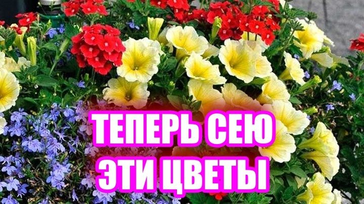 10     :    