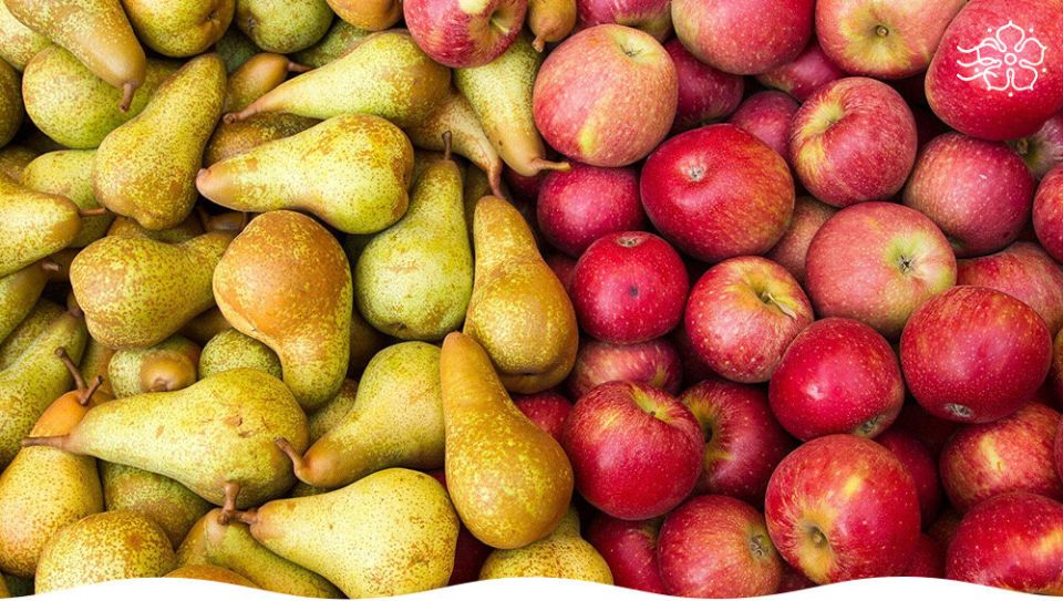 Как сохранить яблоки и груши свежими
