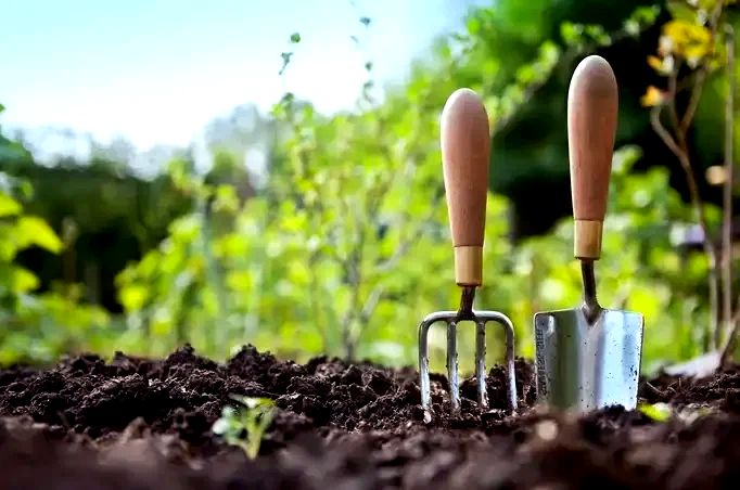 Как правильно подготовить грунт для рассады: секреты начинающего садовода