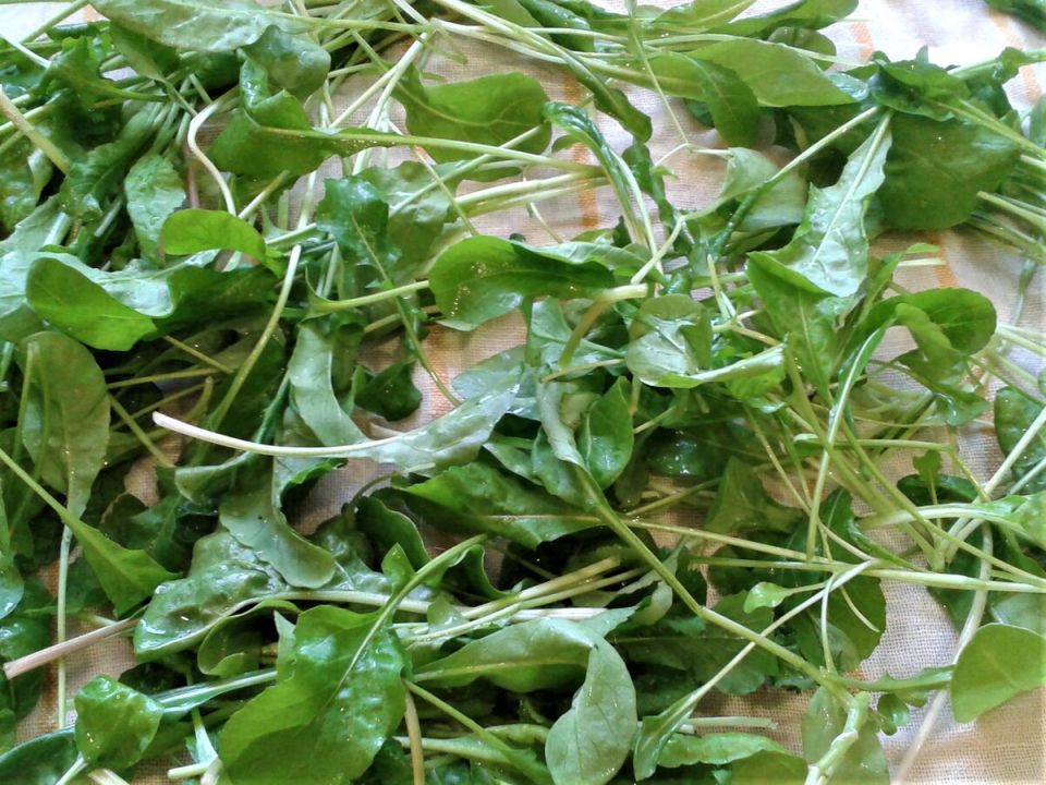 Весенний аромат: освежающая паста с зеленым соусом