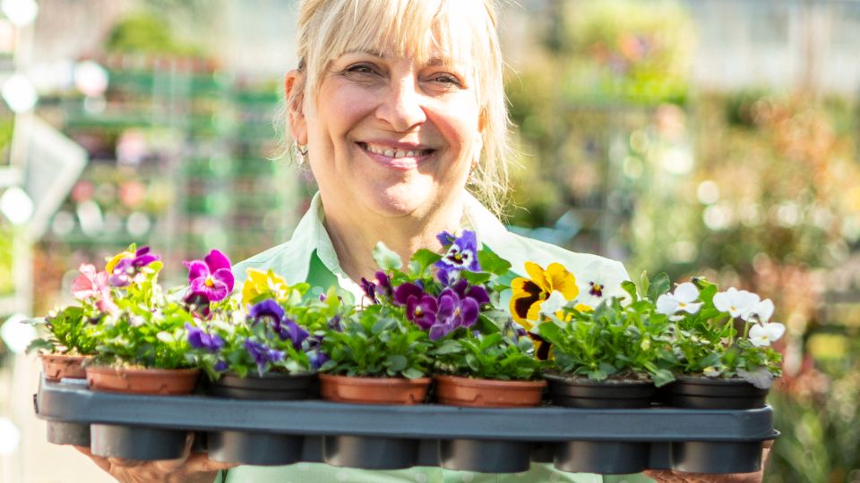 Семена еще успеют прорастить к началу сезона: их всхожесть ускорит этот простой прием