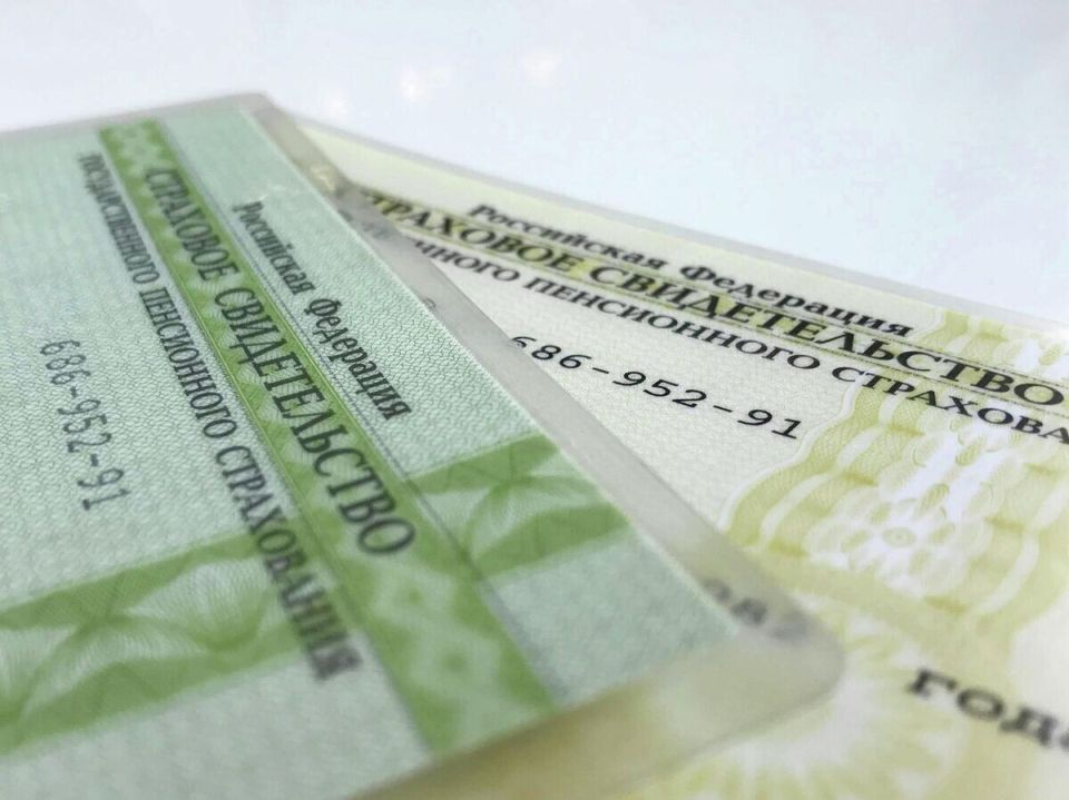 Пенсионный контроль: почему стоит проверить свои данные в ноябре