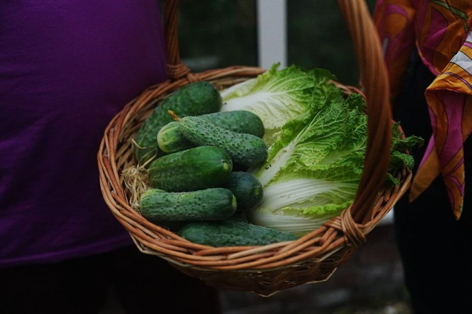 Муравьи на вашем огороде: союзники или враги?