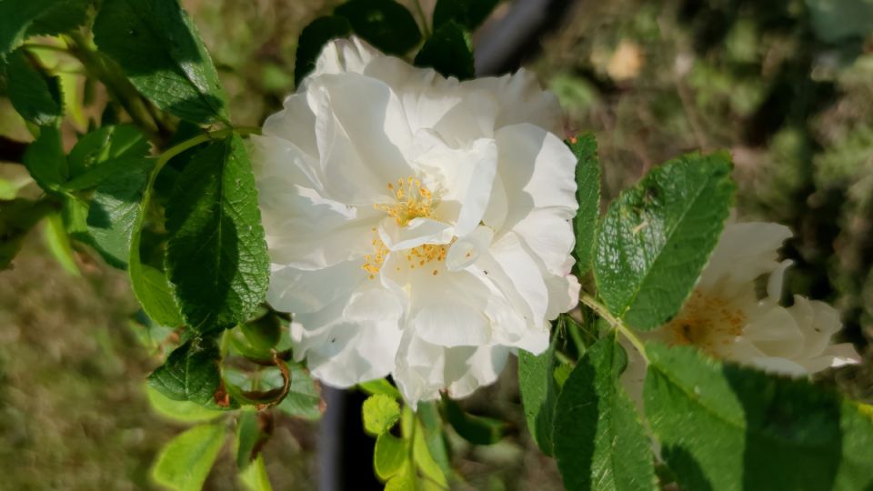 ���� '����� ������': ������ �������� ��������� � ������ �������