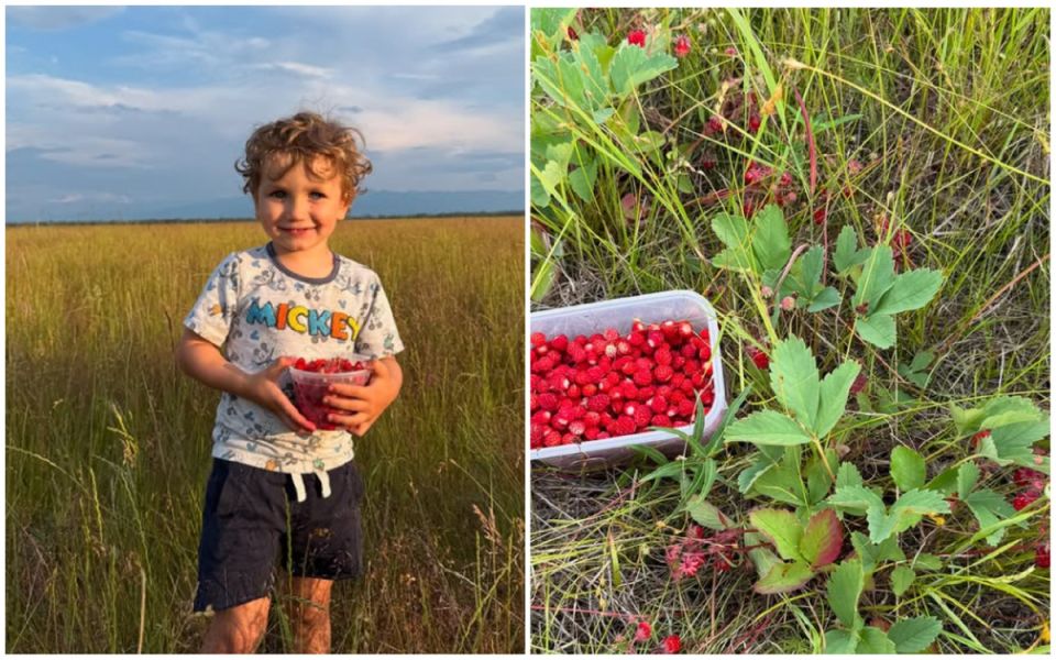 Аляска: Очарование сурового края и его скрытые преимущества