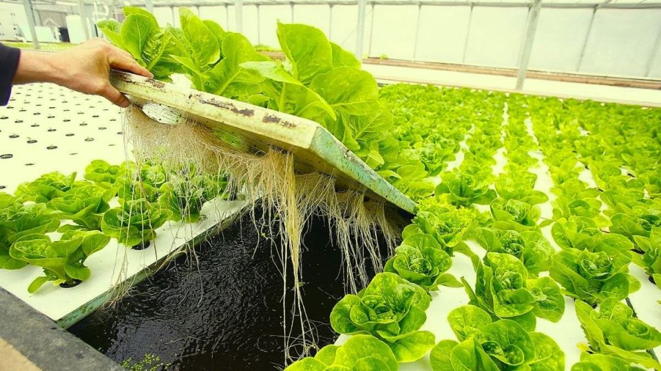 �����������: ��� ��������� ������ ����� � ������ �� �����������