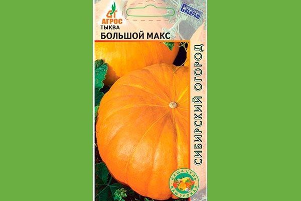 ����� ������� ����: ������� ������, ���������� �������