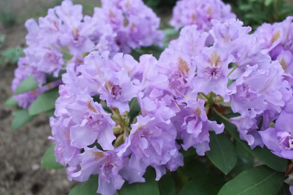 �������� ������� �������������: ��� ����� ����� � �������� ������������