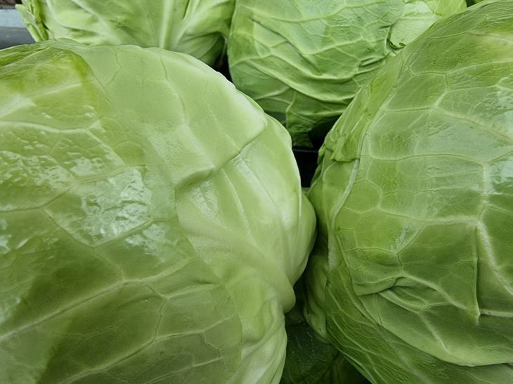 �����, ������� ���������� ������: ������� ���������� ������ � �������