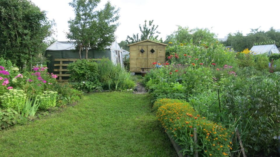 ��� ��������� ������� ������ �� ����� �������: ������������ ������