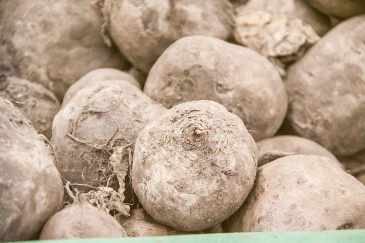 "������������ �����": ���������� ������ - ������� ������ ������