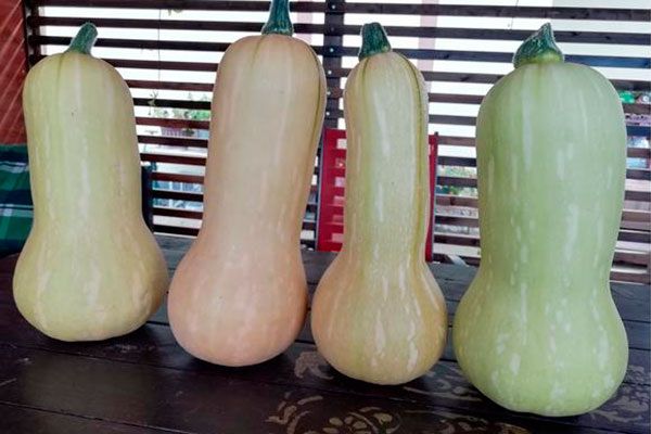 ����� �������� �����: ������� ����������� � ���������� ����