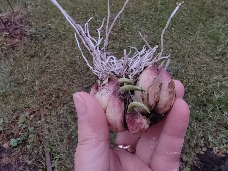 ����������� ����� �����: ��� ���������� � �������������� ������