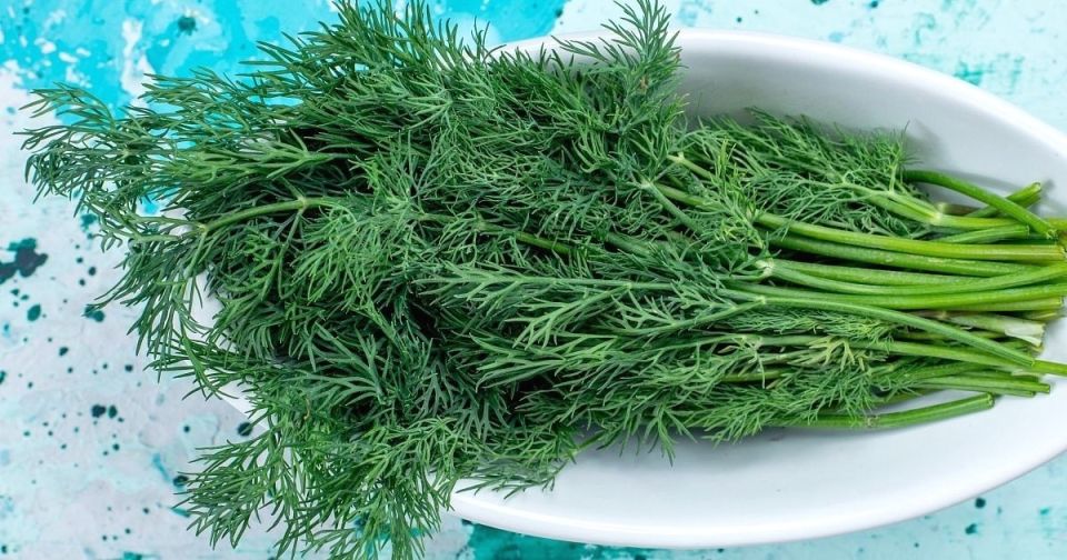 ������� �������� ��������� ������: ��� ��������� ���� � ������ �� ����