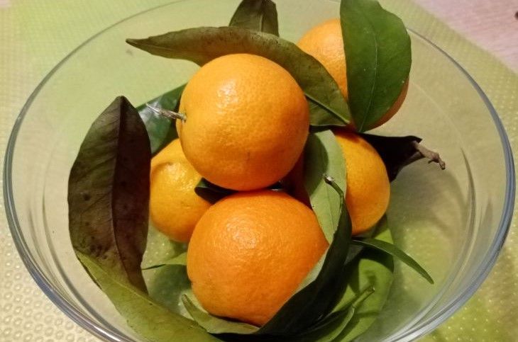 ��� �������� ��������� �����, ������ � ������: �������� ���-������� � �� � ��� �� �����