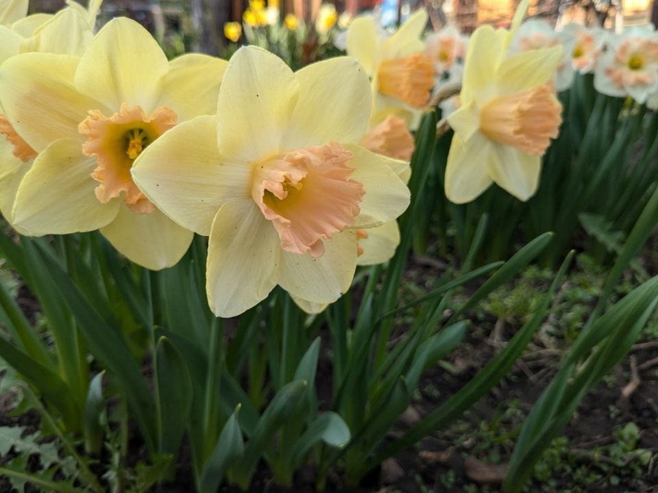 �������� � ������� ��������: ��� ��� �������� �� ����� ����?