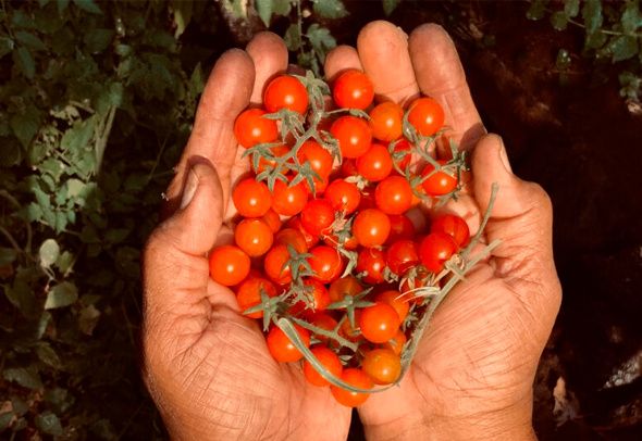 ����� �������: ��������� � ��������� ���� ��� ������ �������