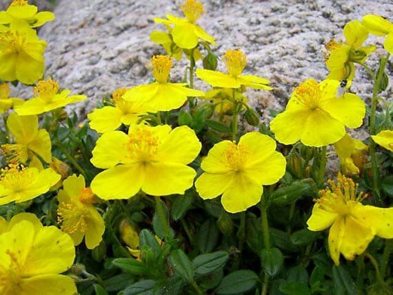 �������� �����������: ��� �������� � ���� � ����