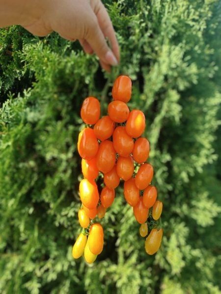 ����� ����� ������������: ��������� ������ ����������� � �����