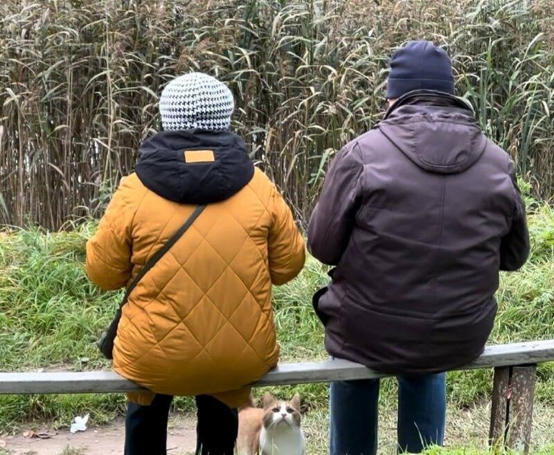 ����� ����������� ��� �����������: ���������� ��������� �������� � 19 ������