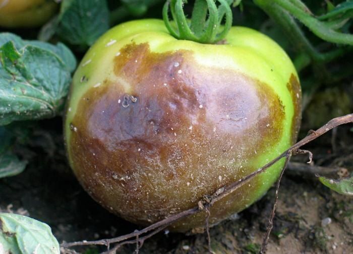 �������� �����: ��� ���������� � ���������� � ��� ��������