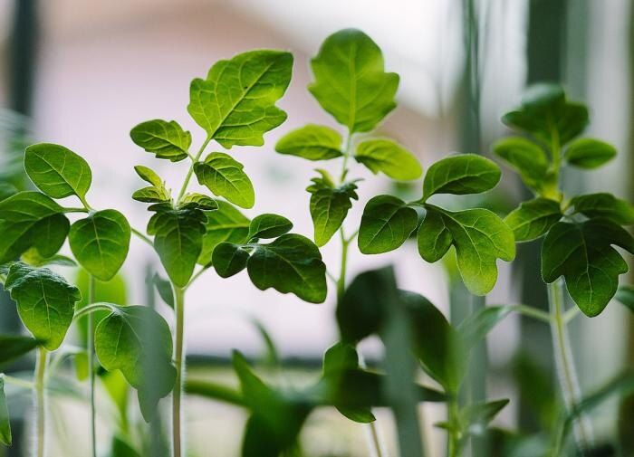 ������������ �������: ���� � �������� ������