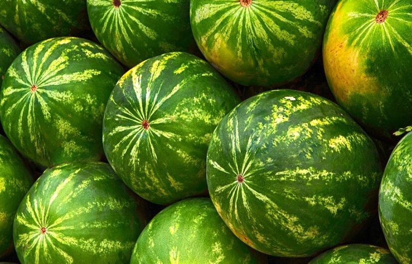 Правила выбора арбуза: спокойный гид к безошибочному покупки