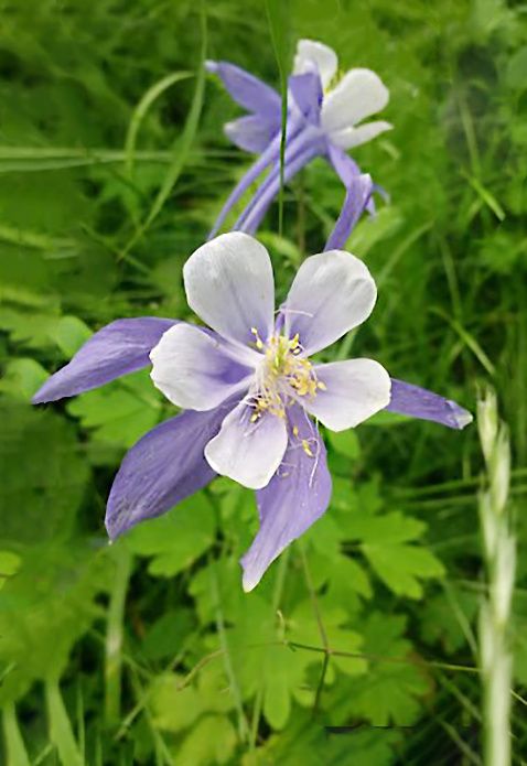 �������� ��� ��������� ������: ��� ������� ������ ������� ������