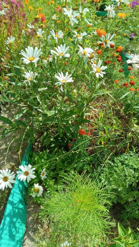 ���������� ��� ������: ��� ���� � ������� ��������� ���������� ����