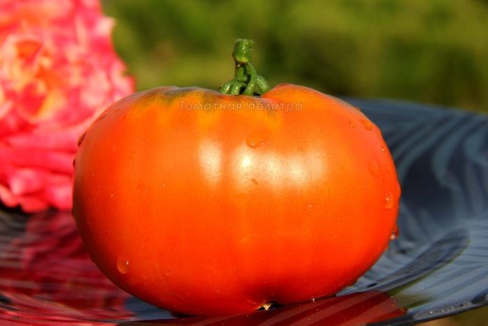 ��������� ��������: ������������� ����� ��� ��������� ������ � ������ ������ � ������� �������