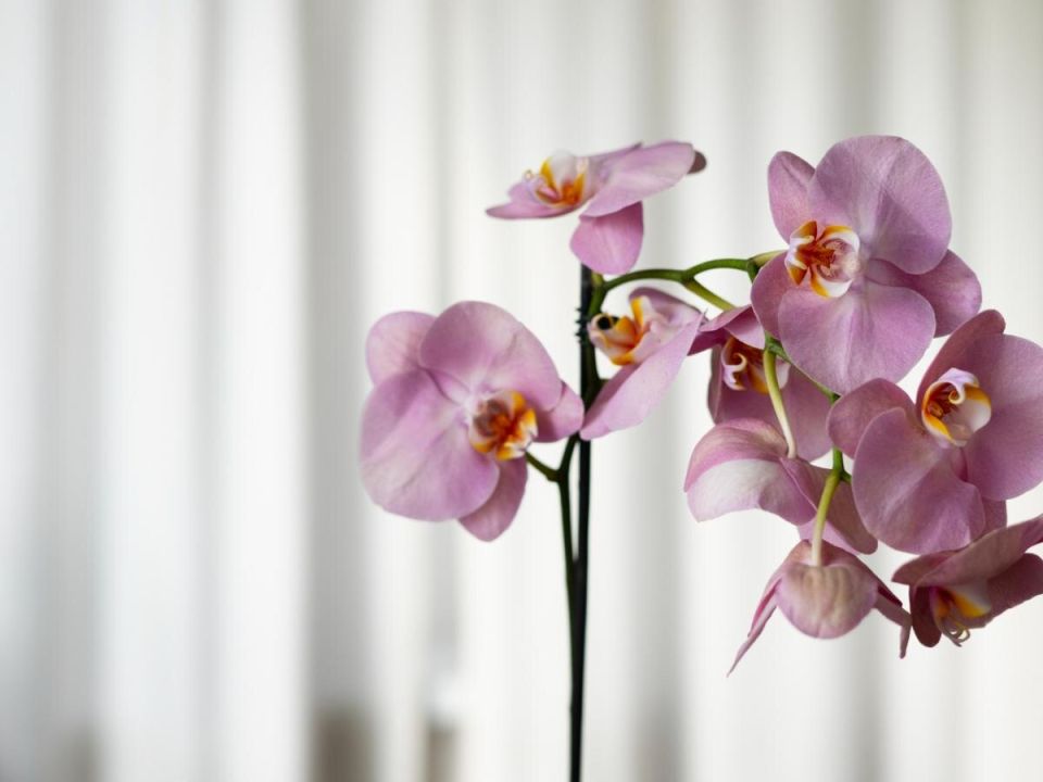 �������� ������� ����� ��������: ��� ��������� � ���� ������� ���� ���������� ������