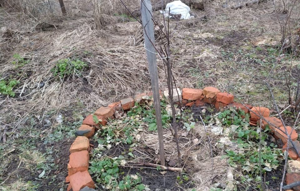 ������ �� �������� ������ � ����� ����� �� ����������� �������� � ��� ��� ���������