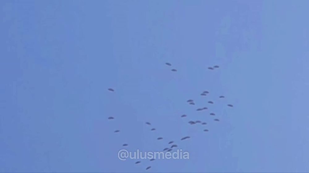   .       ,    38 