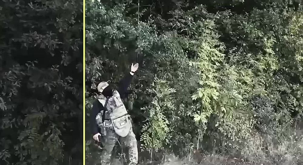   !. ,   ,         ,   , , ,  