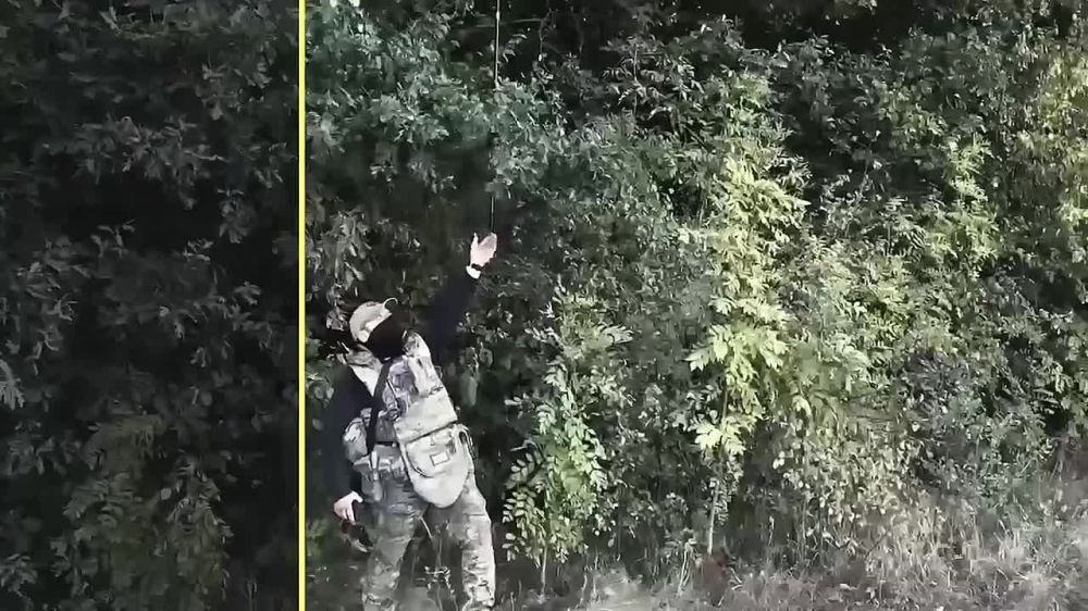   !. ,   ,         ,   , , ,  