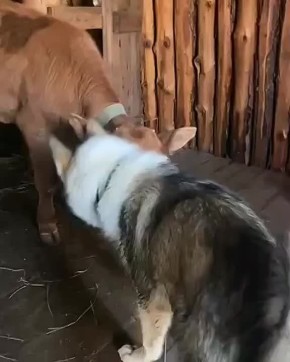   ,     !