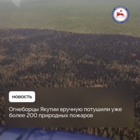           213  : 68     20    145    3  