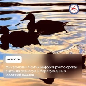  ,       ()            