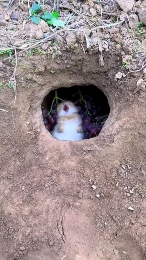    !