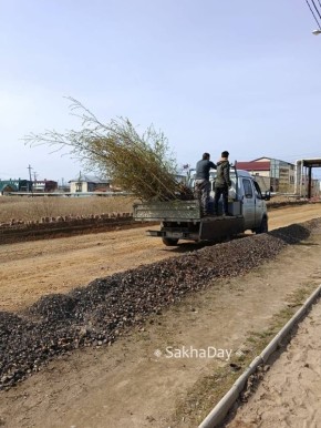  SakhaDay ,         