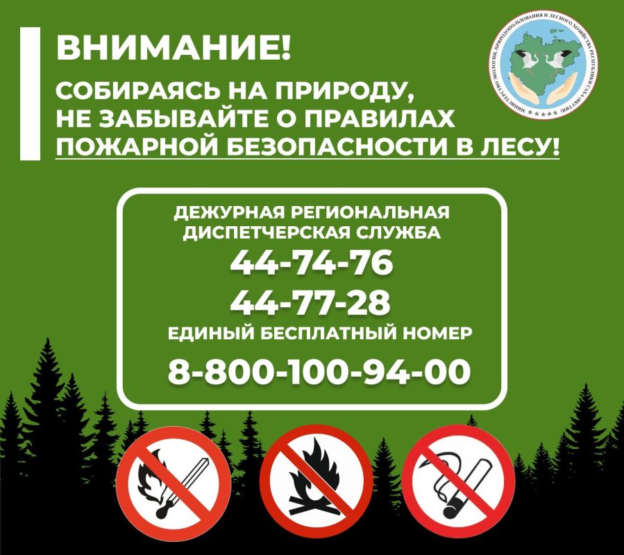 Памятка правил пожарной безопасности в лесах