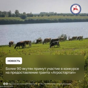  2025           64,6  ,       -  60,75  ,   -  3,87  