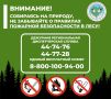 Памятка правил пожарной безопасности в лесах