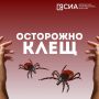 Укусил клещ? Не паникуйте, но действуйте быстро!