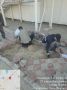 Работа специалистов Управы по ремонту тротуаров на территории Центрального округа