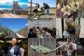 Топ-10 популярных материалов за неделю