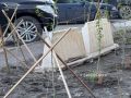 Дзержинского озеленили, но не убрали