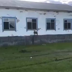 #.         